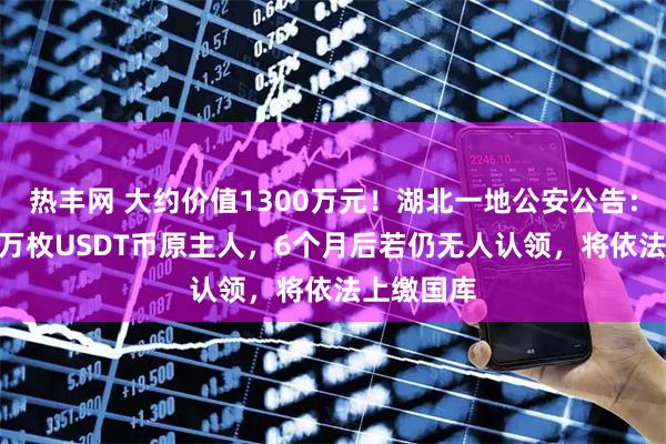 热丰网 大约价值1300万元！湖北一地公安公告：寻找190万枚USDT币原主人，6个月后若仍无人认领，将依法上缴国库