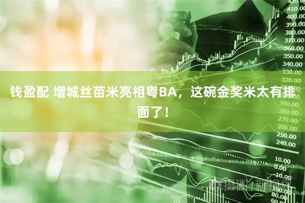 钱盈配 增城丝苗米亮相粤BA，这碗金奖米太有排面了！